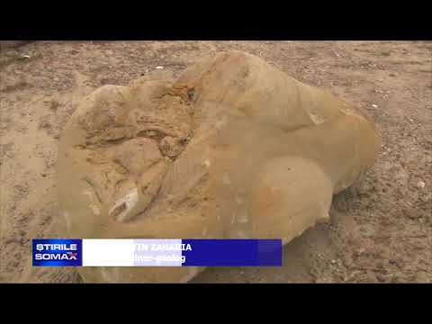 09 10   PARADISUL NECUNOSCUT AL PIETRELOR VII DIN BOTOSANI