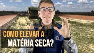 Como elevar o teor de matéria seca de silagens úmidas?