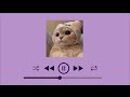 Playlist Speed Up