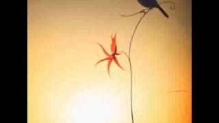 Stephan Micus - Birds Of Dawn (Towards The Wind)