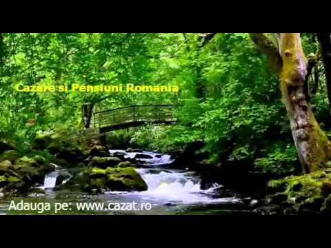 Cazare Chegea, Satu Mare - Cazat.ro