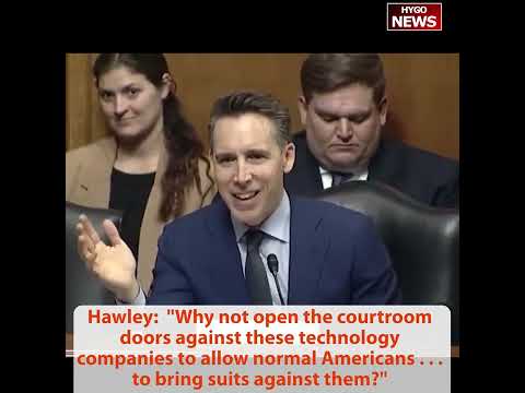 Hawley: 'Why Not Open Courtroom Doors to Normal Americans Against Big Tech?' -- Google Has '$1 Billion' for Legal Risk
