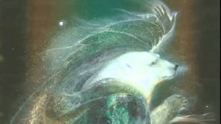 David & Steve Gordon - North Wind Renewal (The Upper World) (Shaman's Vision Journey)