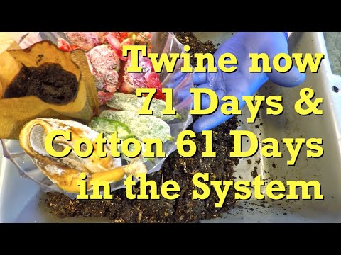 Fed worm bin w 71-day twine & 61-day cotton fabrics bedding test - vermicompost