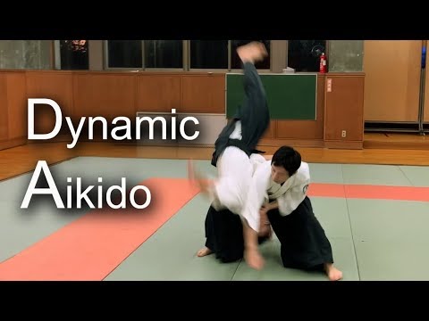 Dynamic and supple Aikido - Shirakawa Ryuji shihan