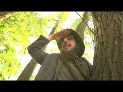 Duizend-en-één activiteiten tijdens de Week van het Bos