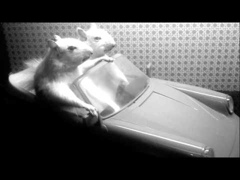 Mithra - Killer Squirrels in a Brand New Porsche