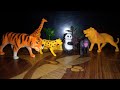 Wild Animal Set | Animal Toys | Zoo Set | Animal Set | Toys and Unboxing | Animals Unboxing | Toy