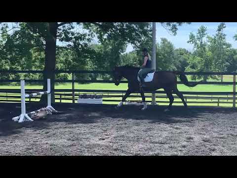 Dutch flat workIMG 0672