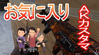 【ＣＯＤＭＷ】俺みたいな雑魚でもキルが取れる！ＡＫちゃん