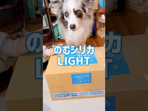 のむシリカLIGHT#pr#shorts