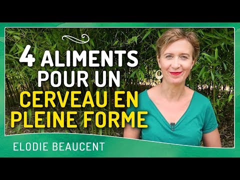 4 Aliments pour UN CERVEAU EN PLEINE FORME