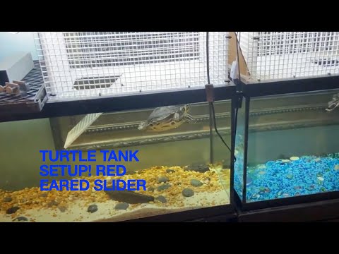 Best turtle tank setup for red eared slider turtles no more canister filter!
