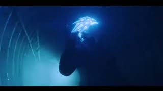 jamiroquai- vitamin (video)