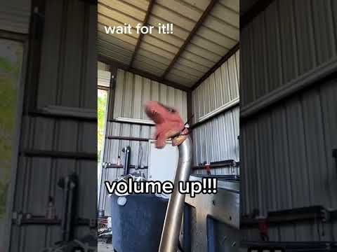 Dino Roar 🦖 #shorts #dinosaur