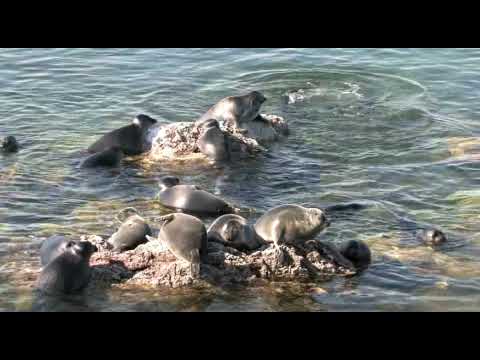 Lake Baikal, Siberia, Russia