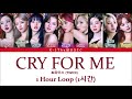 TWICE (트와이스) _ CRY FOR ME 1 Hour Loop (1시간)