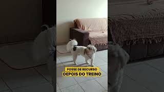 ALUNO COM POSSE DE RECURSO ANTES E DEPOIS DO TREINO