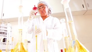 Warmi, solución natural para efectos de la menopausia