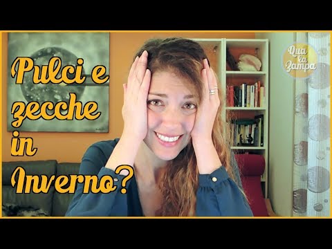 Come fare la prevenzione di vermi a un gattino Quello che è la chilocaloria su uovo un verme e protozoa