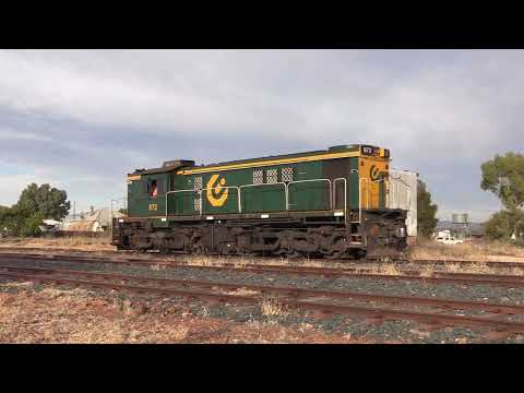 Just the Shunt: Lake Cargelligo: Qube train 9365 with locomotives 864 852 4814 872. 25 May 2023.