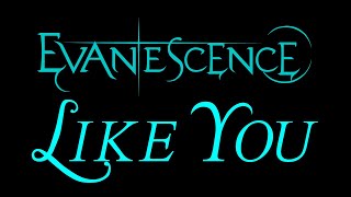Evanescence - Like You Lyrics (The Open Door)