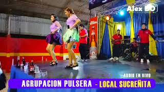 Agrupación Pulsera En Vivo Mix Zapateo 2024 la voz original