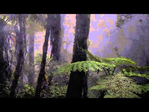 Sounds Forest Rain at Night, Crickets Owls Rain Wind, Naturals Sounds  Sounds Sleeping, Relaxing