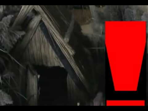 USL Tulcea, Horia Teodorecu & Trifon Belacurencu