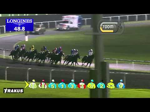 30.01.2014 Meydan (Dubai-UAE) 4.Race DUBAL Casthouse Trophy - Handicap 1.400 m