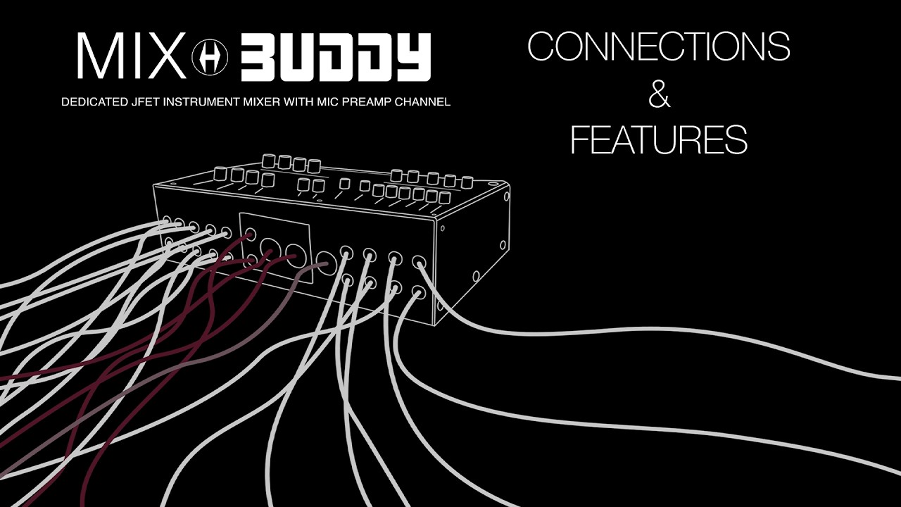 Heritage Audio - Mix Buddy - Connections & Features