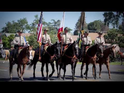 Justice the Sheriff horse