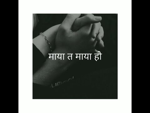 "माया त माया हो" Maya ta maya ho || Samir Shrestha  || Lyrics video || Music Alive