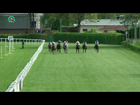 BA 16.4. Dostihy 2 - Hendikep Ryana