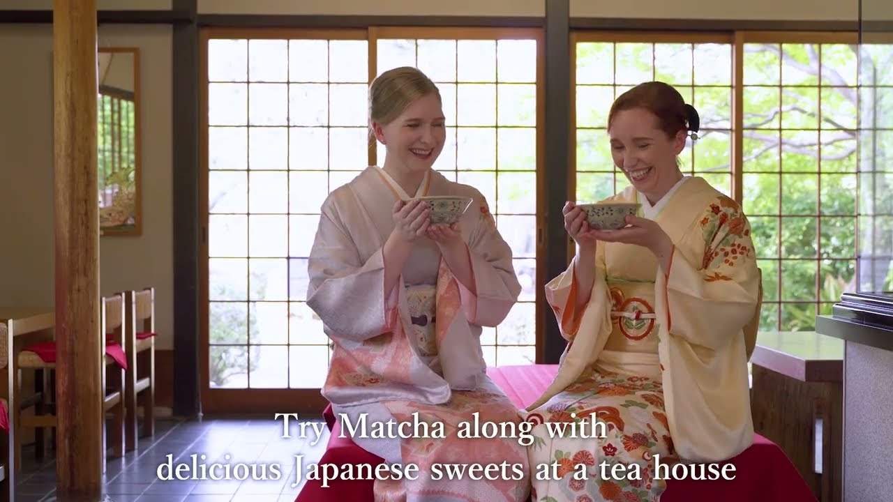 Discover the captivating highlights of Nagoya castle.