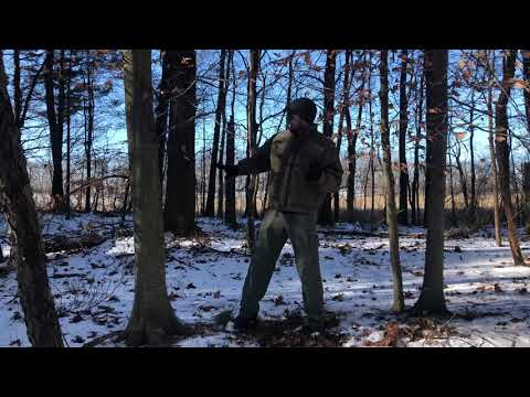 Beech Trees and Firewood: What’s it Good For?