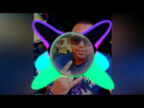 Lion winston - debutant