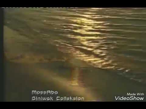 Ae leku leku paramana strangers