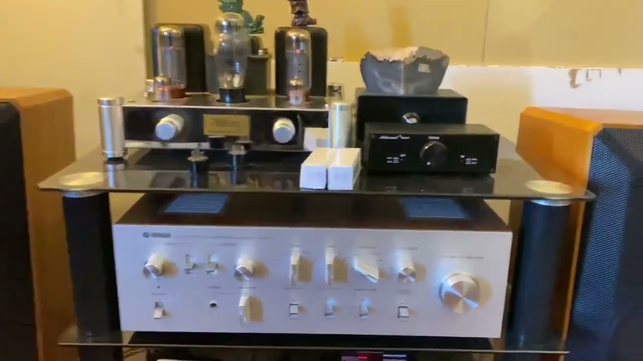 Reisong A10 tube amp w ADS L690 mini towers