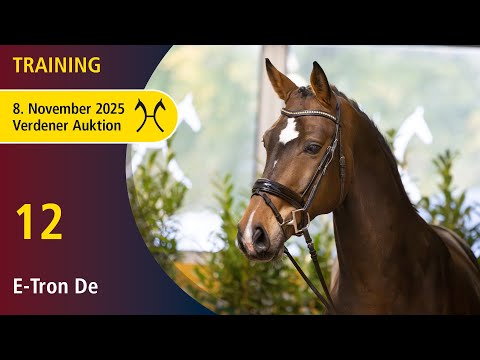 No. 12 E-Tron De by Escolar - Lord Loxley | High Level Auction - OnLive - November, 8th