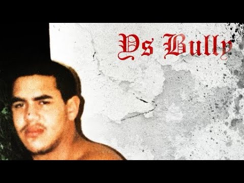 YS Bully - Bully Breaker (Official Music Video)