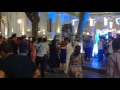 David Attenborough Impression The Wedding