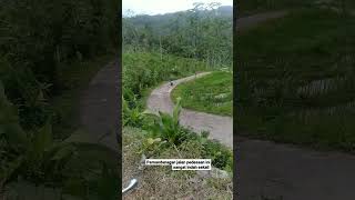 Download lagu PEMANDANGAN DESA NGUNUT KECAMATAN BANDAR PACITAN mp3 Download lagu PEMANDANGAN DESA NGUNUT KECAMATAN BANDAR PACITAN mp3