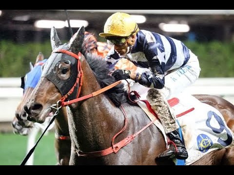 包裝大獎 Packing Award (E264)