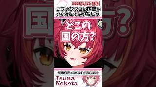 フランシスコの国籍が分からなくなる猫たつ【猫汰つな/紫宮るな/フランシスコ/うるか/VanilLa/ぶいすぽっ！/VALORANT/切り抜き】#shorts