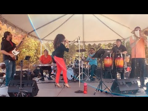 Promotional video thumbnail 2 for Spanglish Latin American Band