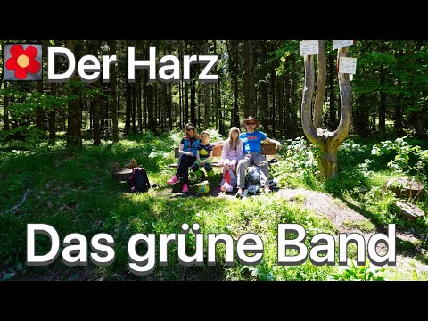 Der Harz - Grenzwanderung/Grenzweg bei Zorge - das Grüne Band Deutschlands