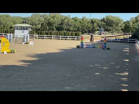 Casavaro PS (Casallco x Sanvaro) 2016