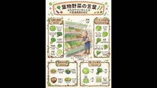 超全叶菜类蔬菜日语图鉴｜搞定日本高频叶菜与实用买菜单位  #easyjapanesepodcast#日语学习 #easyjapanesepodcast