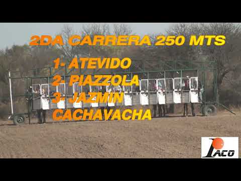 JAZMIN HIPODROMO EL GAUCHITO SAN MARCOS SIERRAS 11 09 2022